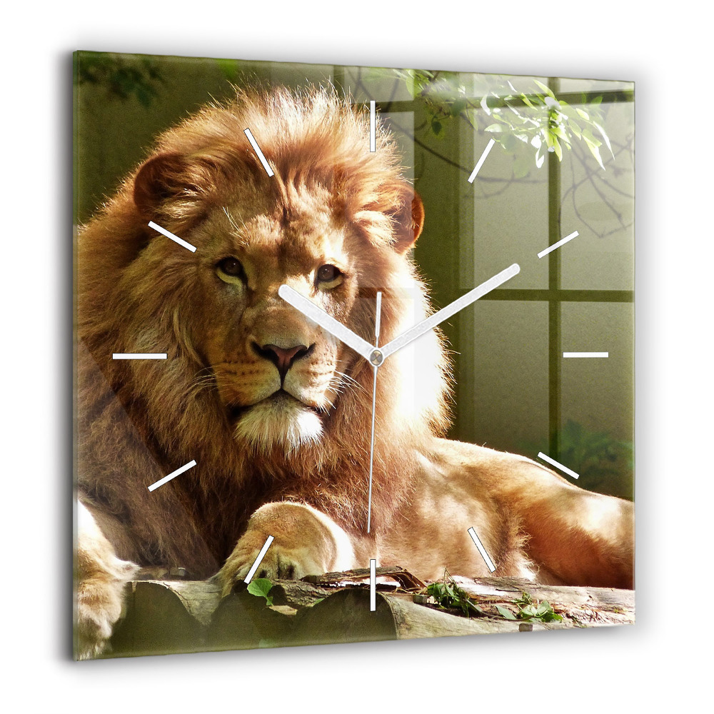 Négyzet alakú üvegóra 60x60 Egy oroszlán portréja