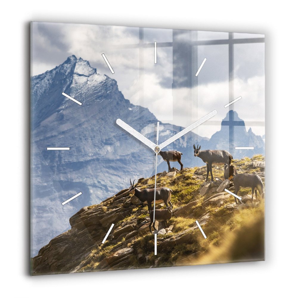 Négyzetes üvegóra 60x60 Kecske az Aosta-völgyben