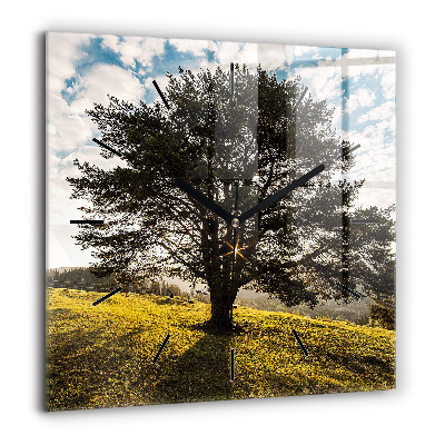 Négyzetes üvegóra 60x60 Fa egy dombon