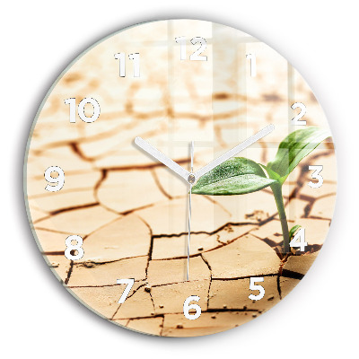 Kerek fali üvegóra 30 cm Növény a száraz talajban